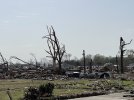 Rolling-fork-damage-debarking.jpg