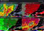 wellman.gif