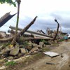 Describe a scene with natural disaster damage. (1).jpg