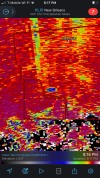 5CC98B5F-AFA2-4E32-B07C-133BFB103DA0.png