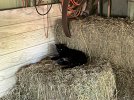 IMG_1139.JPG