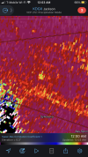 12E1107D-FDB6-41D8-8710-23974EE22871.png