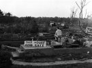 19530608FLINT21.jpg