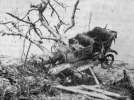 19250318LTGRIFFIN6.png