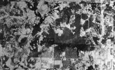 19360405COFEEVILLE.jpg