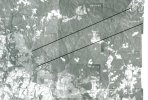 19360405TUPELOALABAMA.jpg