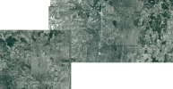 TUPELO.png