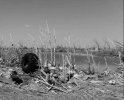 63604550-7CEA-4E79-9816-6C2C8087D94F.jpeg