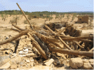 reportaje-sobre-los-efectos-del-tornado-asociado-a-la-supercelula-de-alcaniz-teruel-del-23-de-...gif