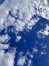 IMG_6532.jpeg