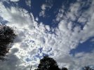 IMG_6536.jpeg