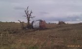 SAVE_20231215_230417.jpg