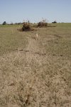 0512jd61.jpg