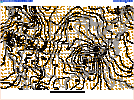 3544056A-60ED-4DF2-A218-7EEC63A96960.gif