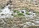 IMG_7086.jpeg
