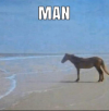 1704796356800.png