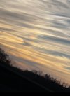 IMG_7240.jpeg