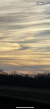 IMG_7239.png