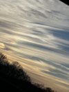 IMG_7234.jpeg