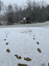 IMG_5129.jpeg