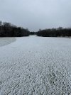 IMG_5132.jpeg