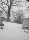 IMG_20240115_134743.jpg