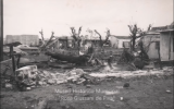 San-justo-tree-damage.png