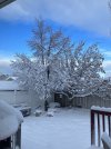 IMG_6357.jpeg