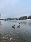 IMG_5559.jpeg