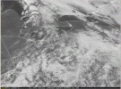 1711996836956.gif