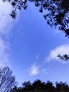 IMG20240402103119.jpg