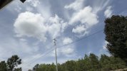 IMG_2987.jpeg