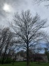 IMG_3157.jpeg