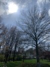 IMG_3158.jpeg