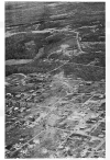 Aerial 4.png