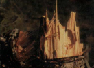 Screenshot_20240421-113841.png