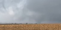IMG_7096.jpeg