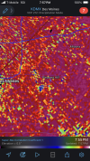 IMG_7124.png