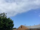 IMG_0178.jpeg