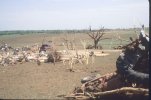 home-2-swept-away-extreme-veg-damage.jpg