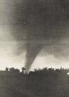 mwr-047-07-0447.jpg
