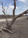 IMG_0340.jpeg