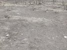 IMG_0343.jpeg