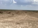 IMG_0347.jpeg