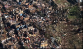 image-962.png