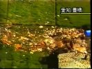 Screenshot_20240612_092742_YouTube.jpg
