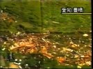 Screenshot_20240612_092809_YouTube.jpg