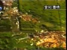 Screenshot_20240612_093139_YouTube.jpg