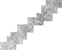 Jasperpath.png