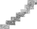 tannertimsfordlake.png